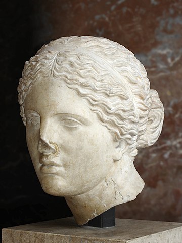 アフロディテ頭部（ statue ）　高さ33.5cm 幅22cm 奥行き29cm　ローマ帝国時代（プラクシテレスのオリジナルは紀元前360年頃）　ルーヴル美術館蔵